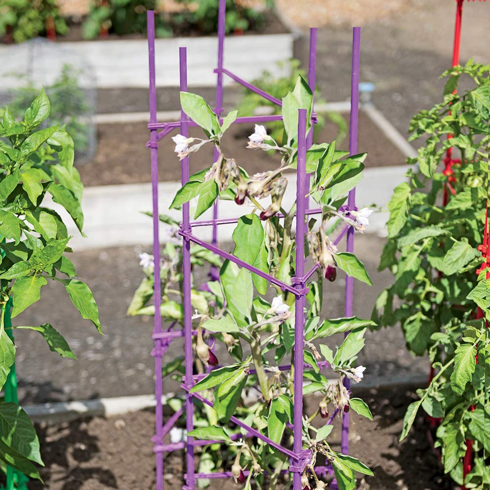 Growsun trellis teepee setup for climbing beans showcasing versatile configurations