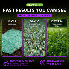 GROWTRAX mat fibers close-up showing secure seed contact and moisture retention