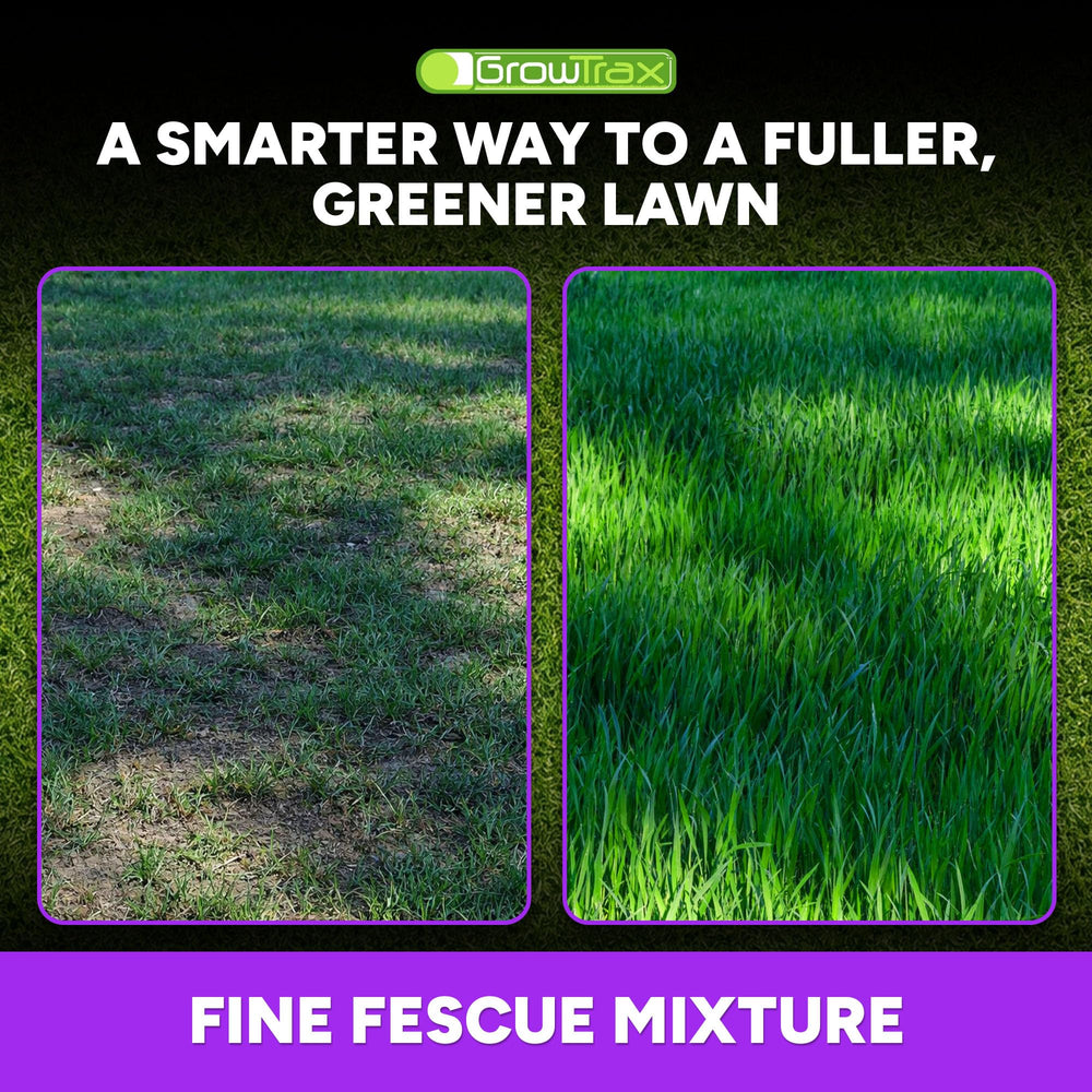 GROWTRAX mature fine fescue texture showing dense, drought-tolerant turf