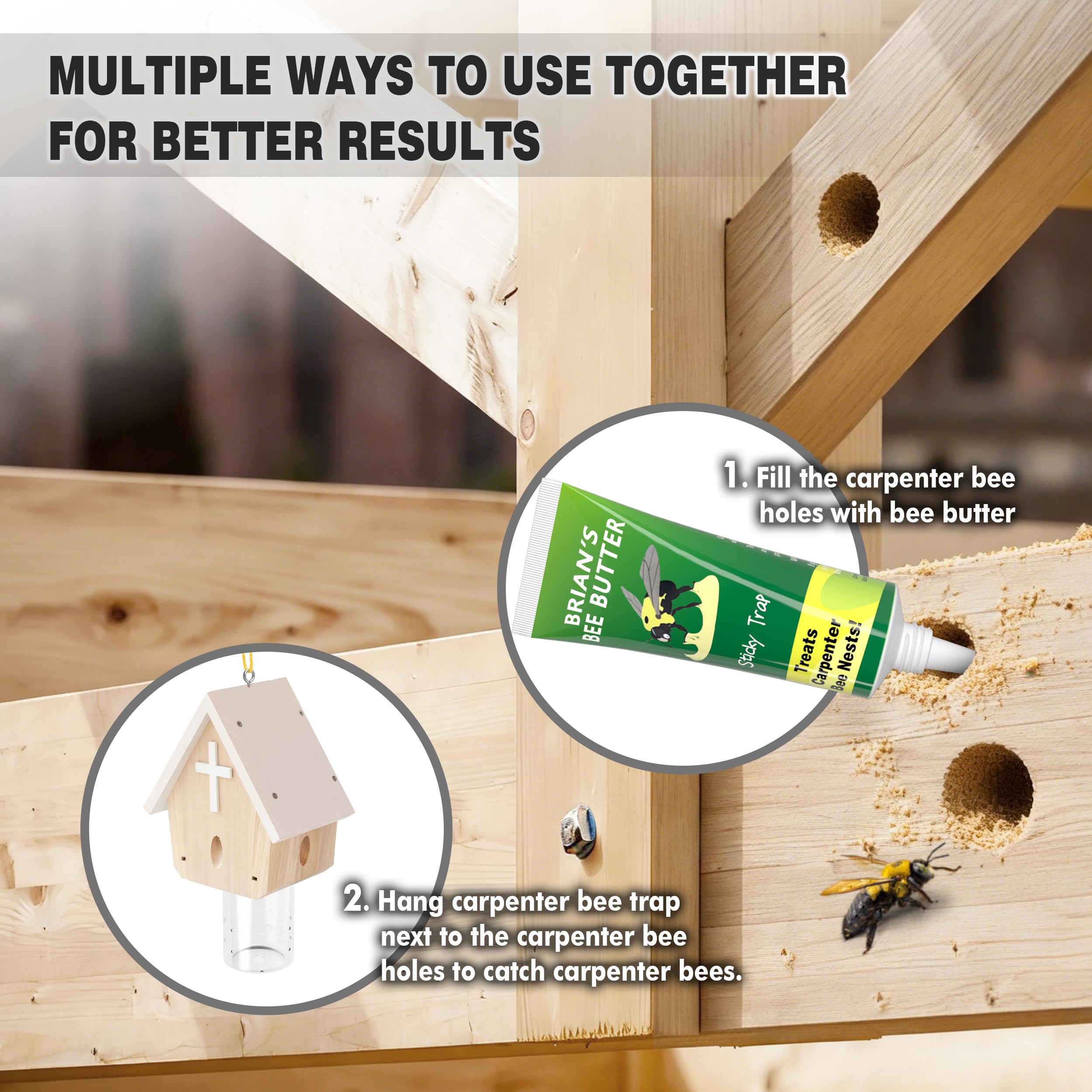 GRTRE bait demonstration with dead bee placed to emit pheromones and increase captures