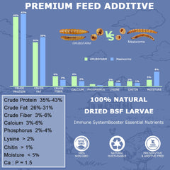 GRUBSFARM close-up of dried larvae texture highlighting natural protein source
