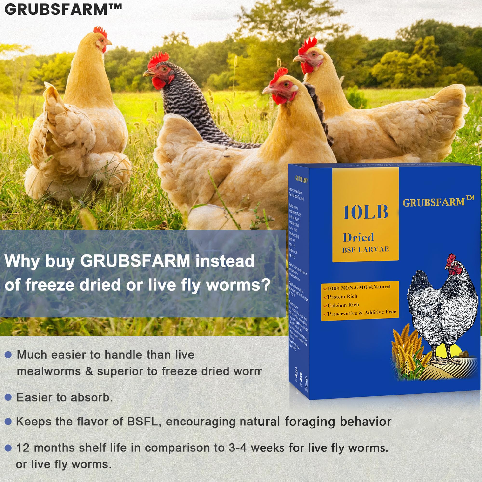 GRUBSFARM tamaño de larva junto a un huevo para comparar escala útil