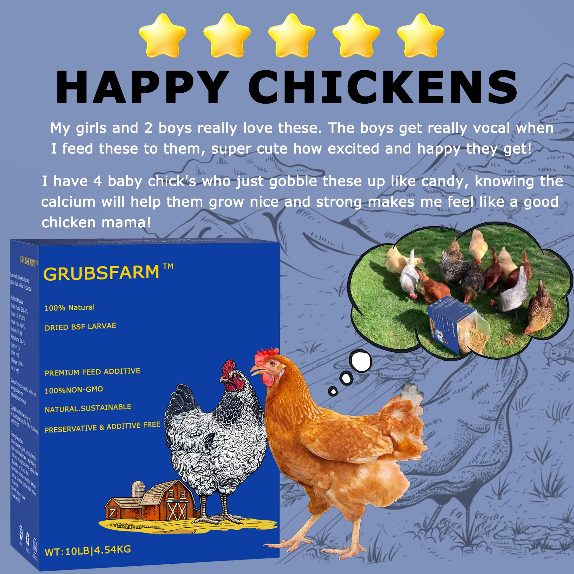 GRUBSFARM larvae being served in coop encouraging foraging and enrichment