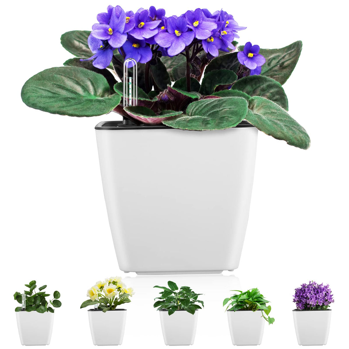 GS Garden front view of white square planter showing clean lines and compact size benefit
