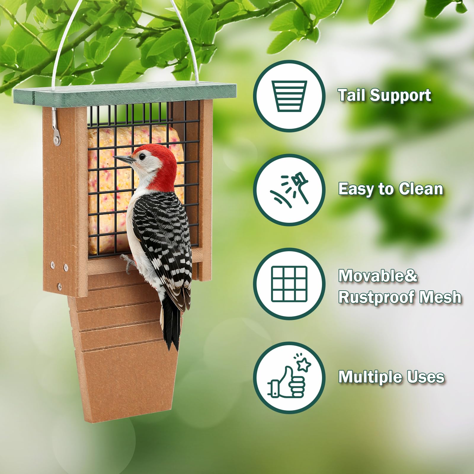 Gtongoko feeder in tree with woodpecker using tail prop for stable feeding