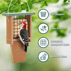 Gtongoko feeder in tree with woodpecker using tail prop for stable feeding