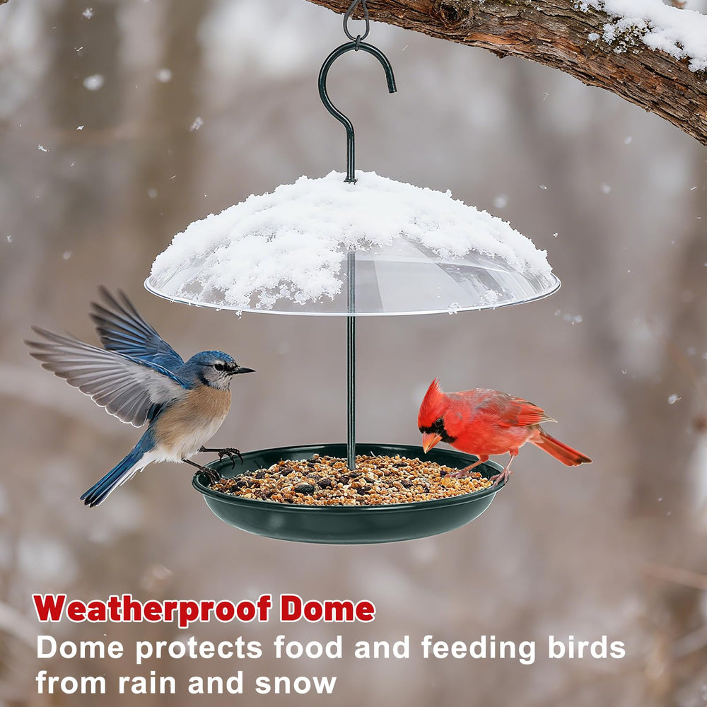 Gtongoko feeder with multiple birds feeding showing 360° access benefit