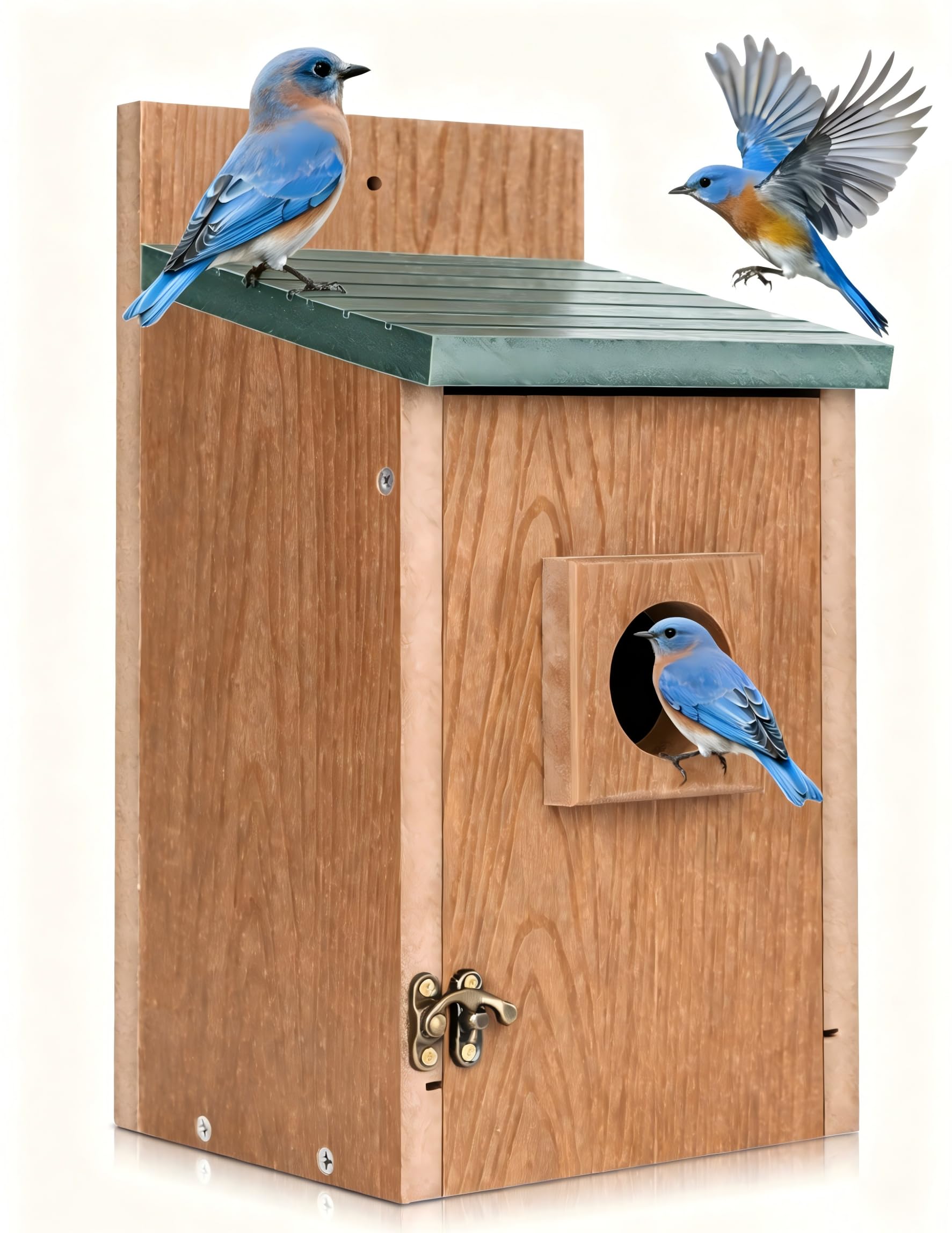 Gtongoko front view green bluebird house showing weatherproof shelter benefit