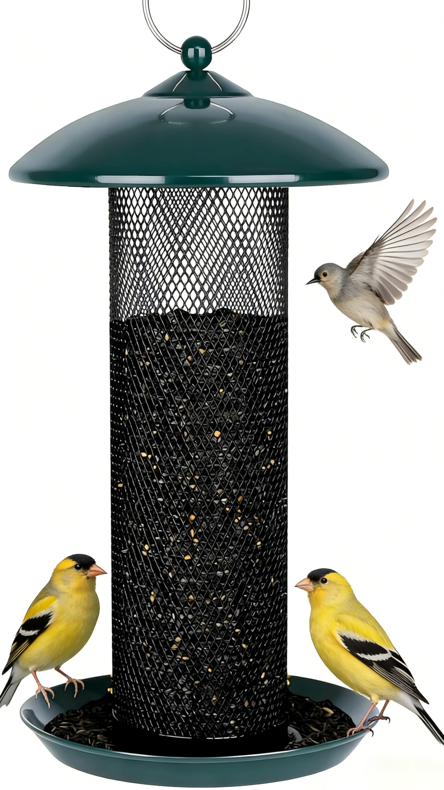Gtongoko front view green tube feeder showing full capacity and hanging ring for easy setup