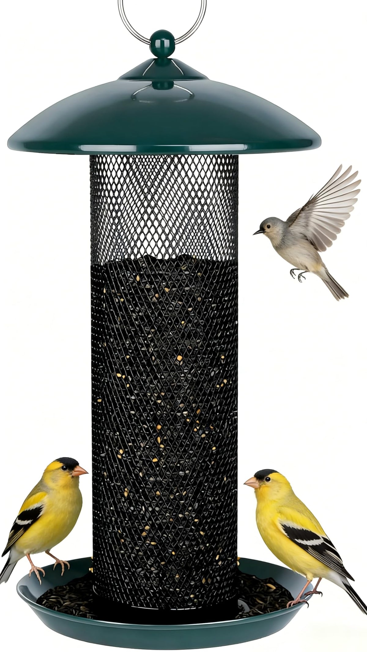 Gtongoko front view green tube feeder showing full capacity and hanging ring for easy setup