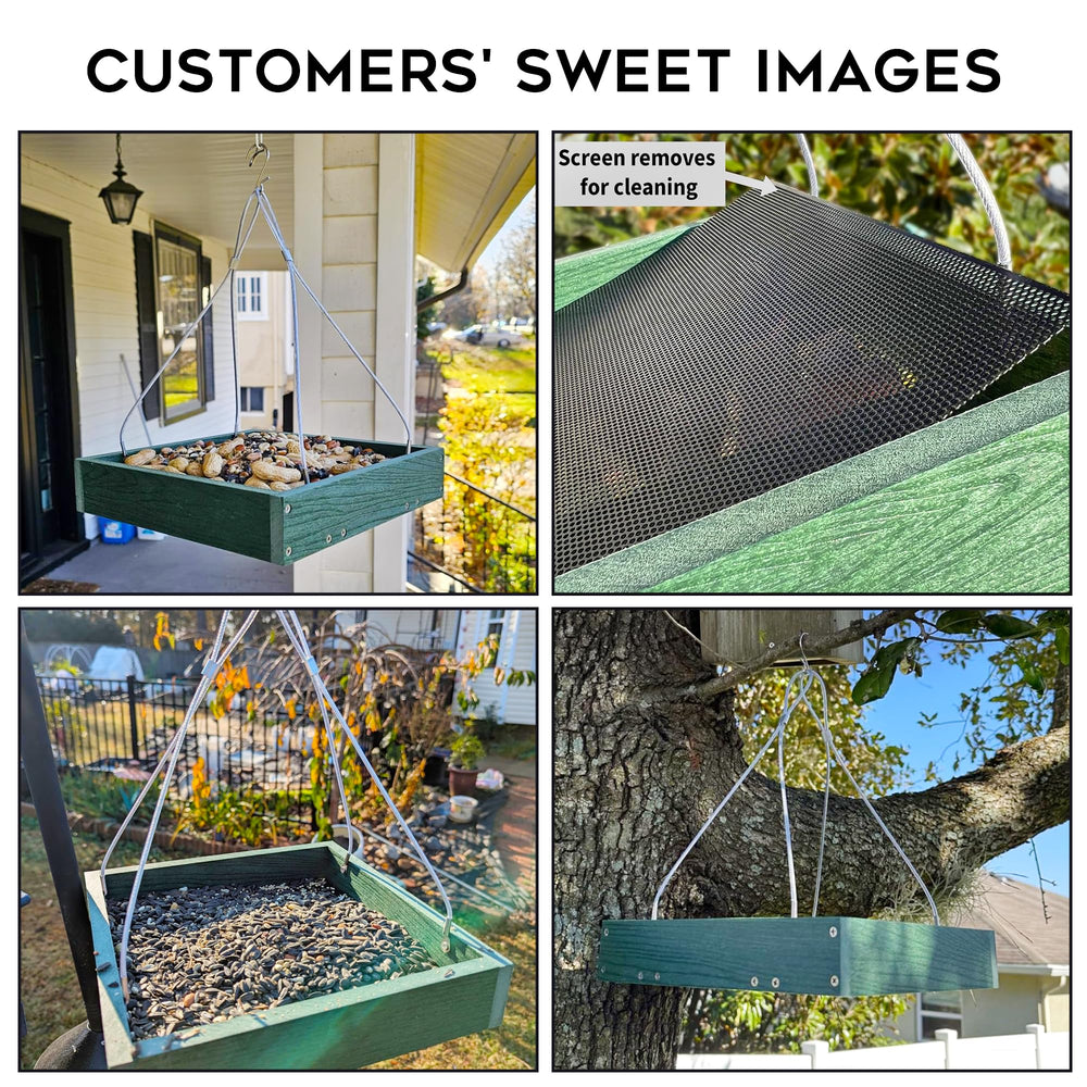 Gtongoko platform feeder in garden setting inviting bird visits and peaceful backyard viewing