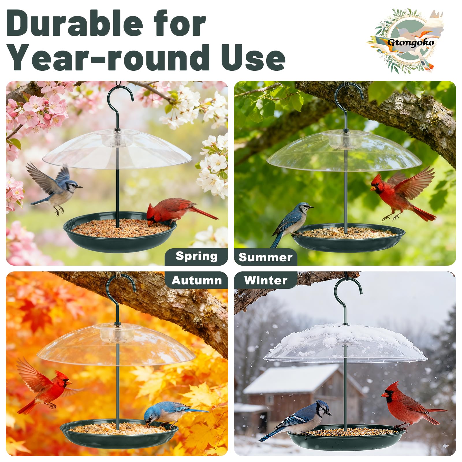 Gtongoko feeder hanging in backyard showing attractive birdwatching setup