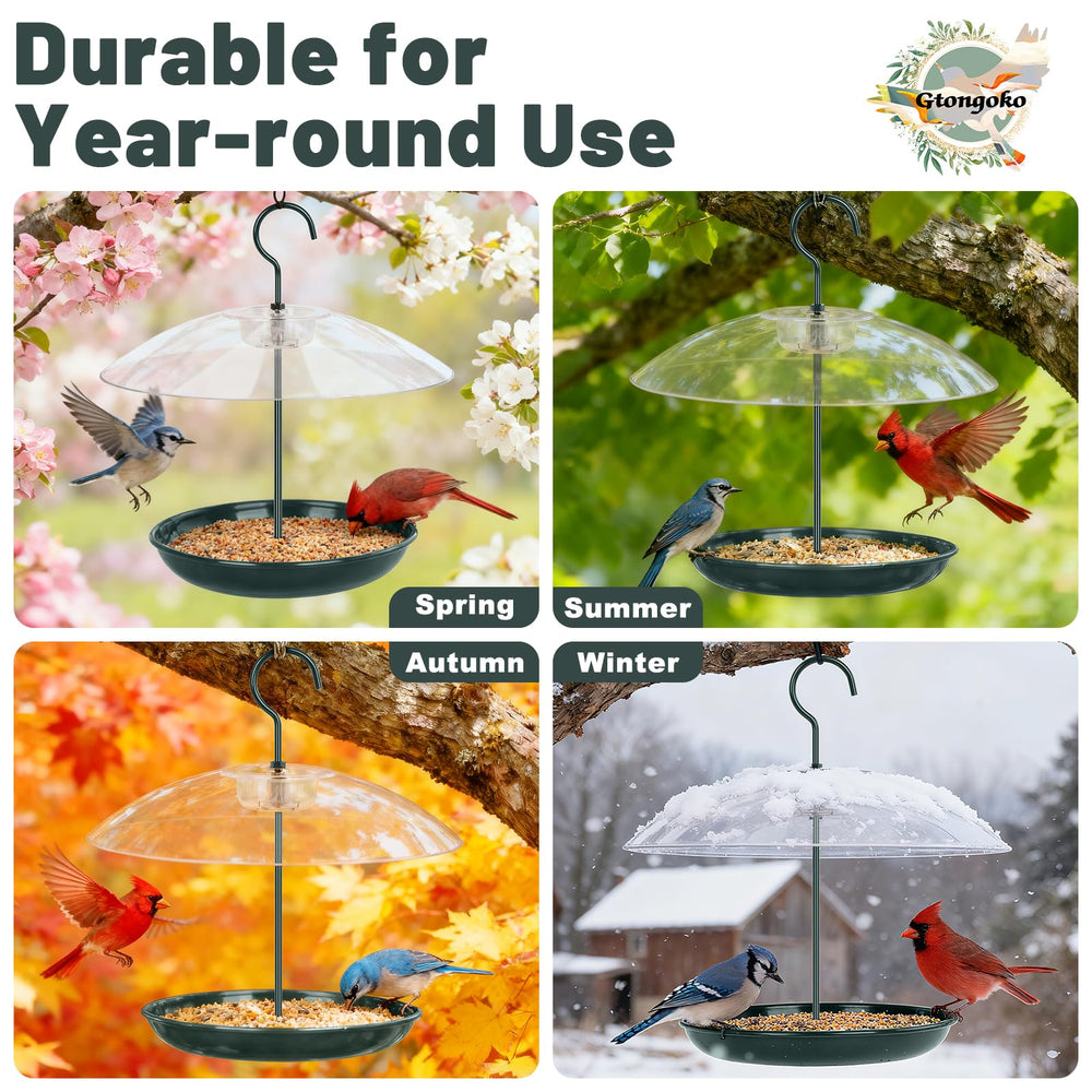 Gtongoko feeder hanging in backyard showing attractive birdwatching setup