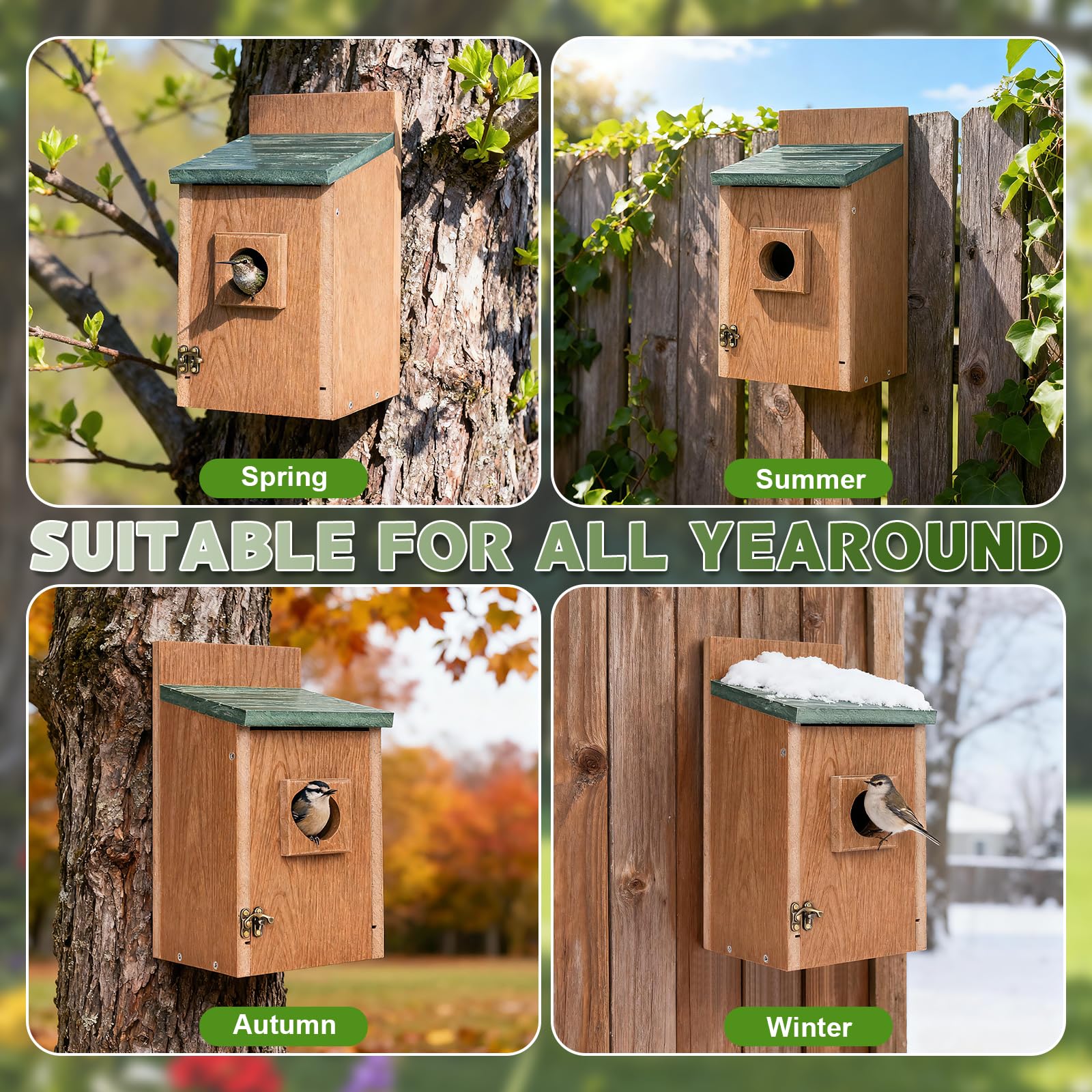 Gtongoko mounted on pole in backyard attracting cavity-nesting birds
