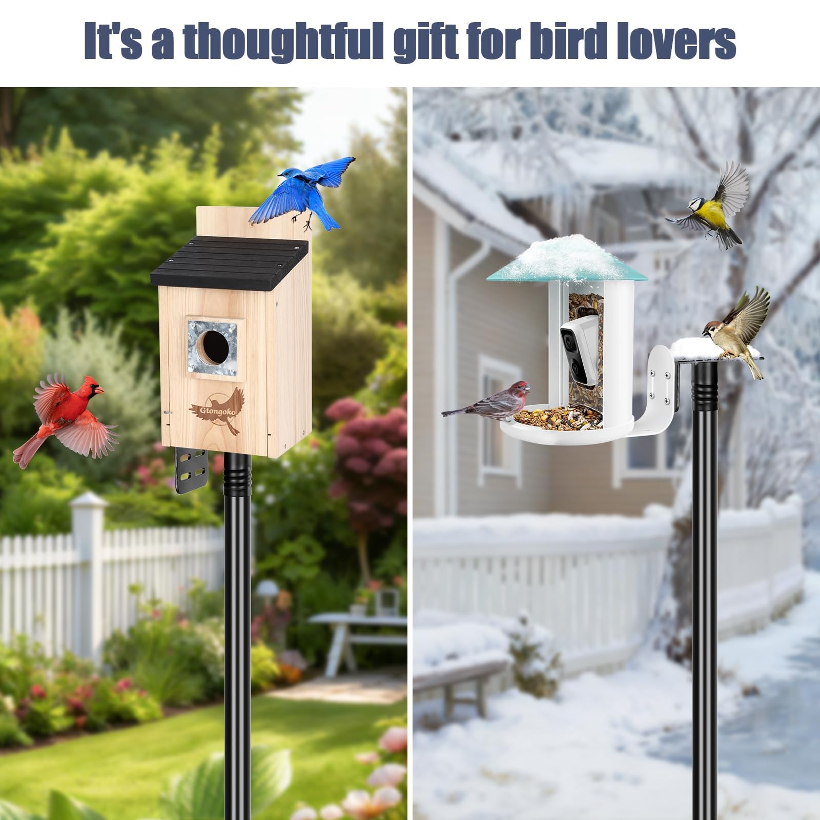 Gtongoko pole supporting bird feeder in garden showing elevated feeding benefit