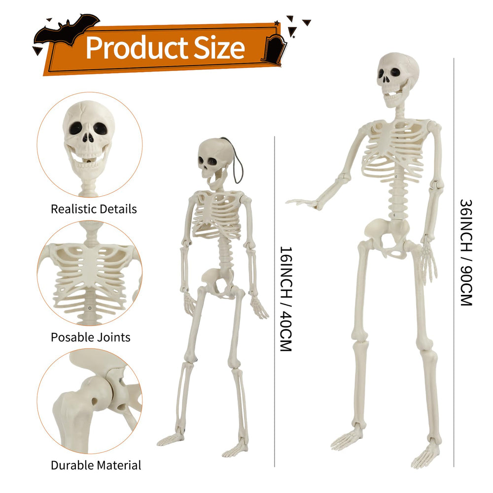 GTYZZH close-up of skeleton joint showing adjustable limbs and pose stability