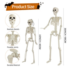 GTYZZH close-up of skeleton joint showing adjustable limbs and pose stability
