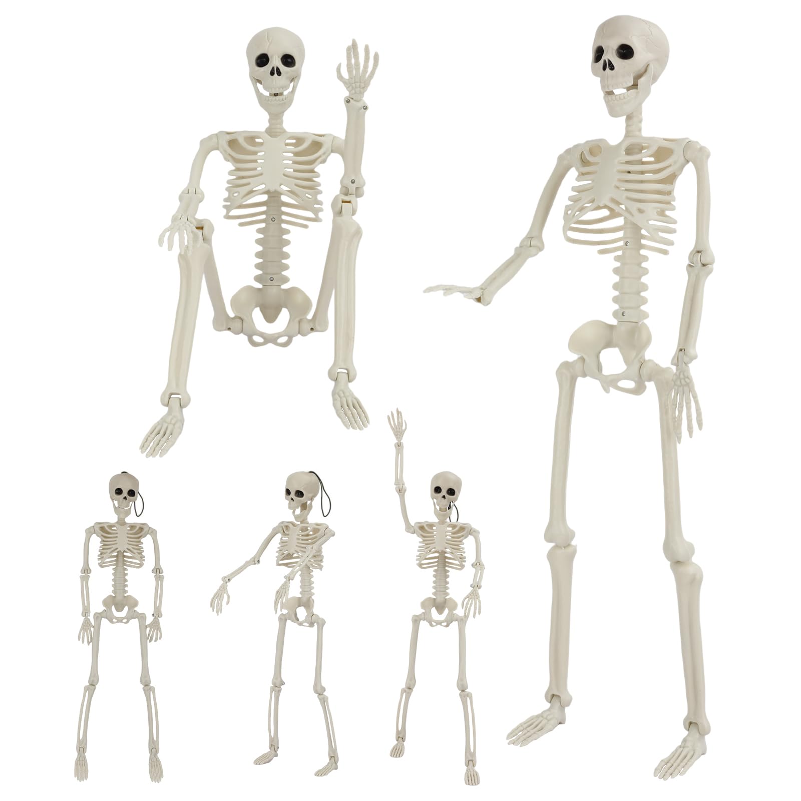 GTYZZH front packaging showing two 36-inch and three 16-inch skeletons for easy setup