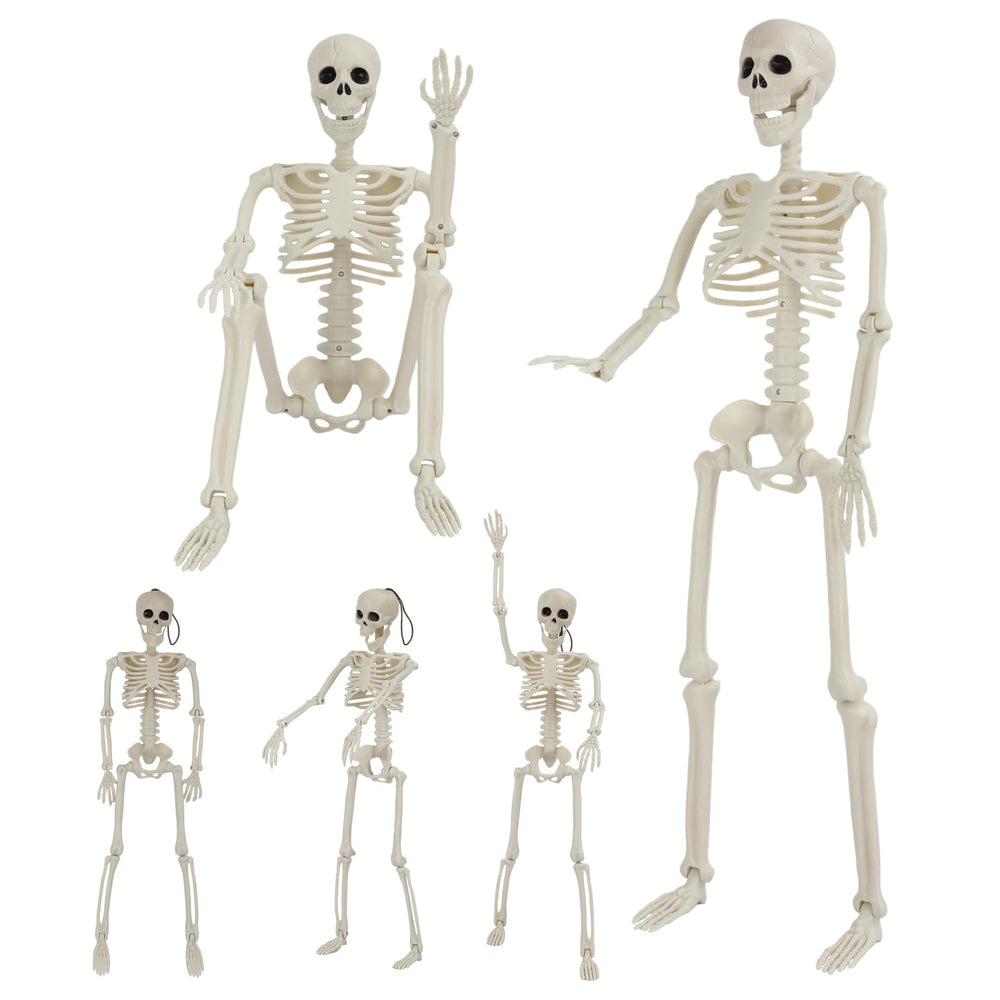 GTYZZH front packaging showing two 36-inch and three 16-inch skeletons for easy setup