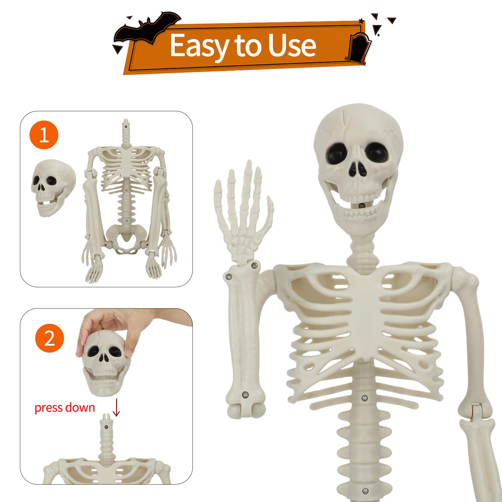 GTYZZH skeleton jaw close-up illustrating movable expression for scare effects