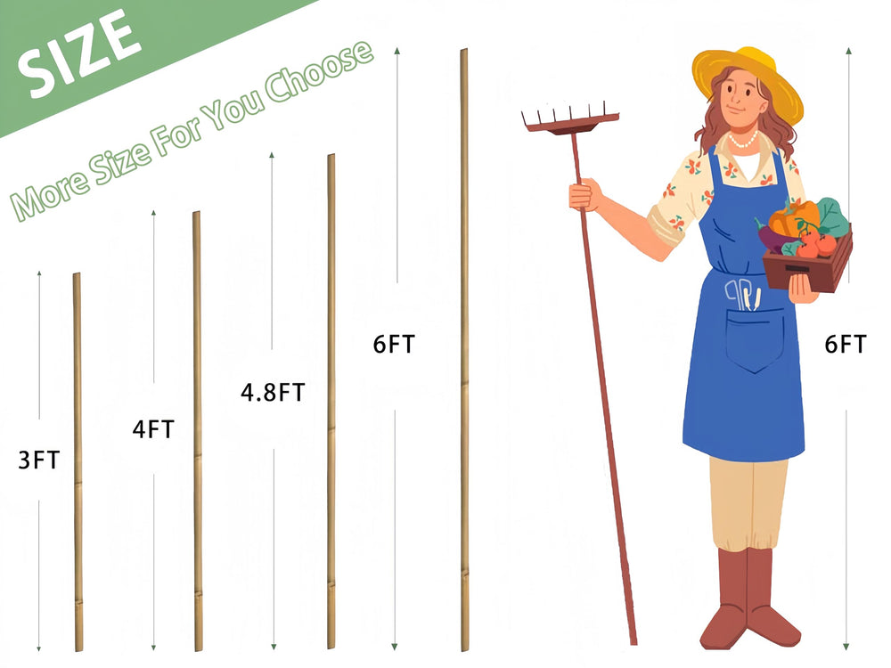 GUANGYE detail of smoothed stake end reduces splinters and eases tying plants