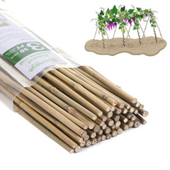 GUANGYE front packaging showing 50 bamboo stakes and benefit durable support