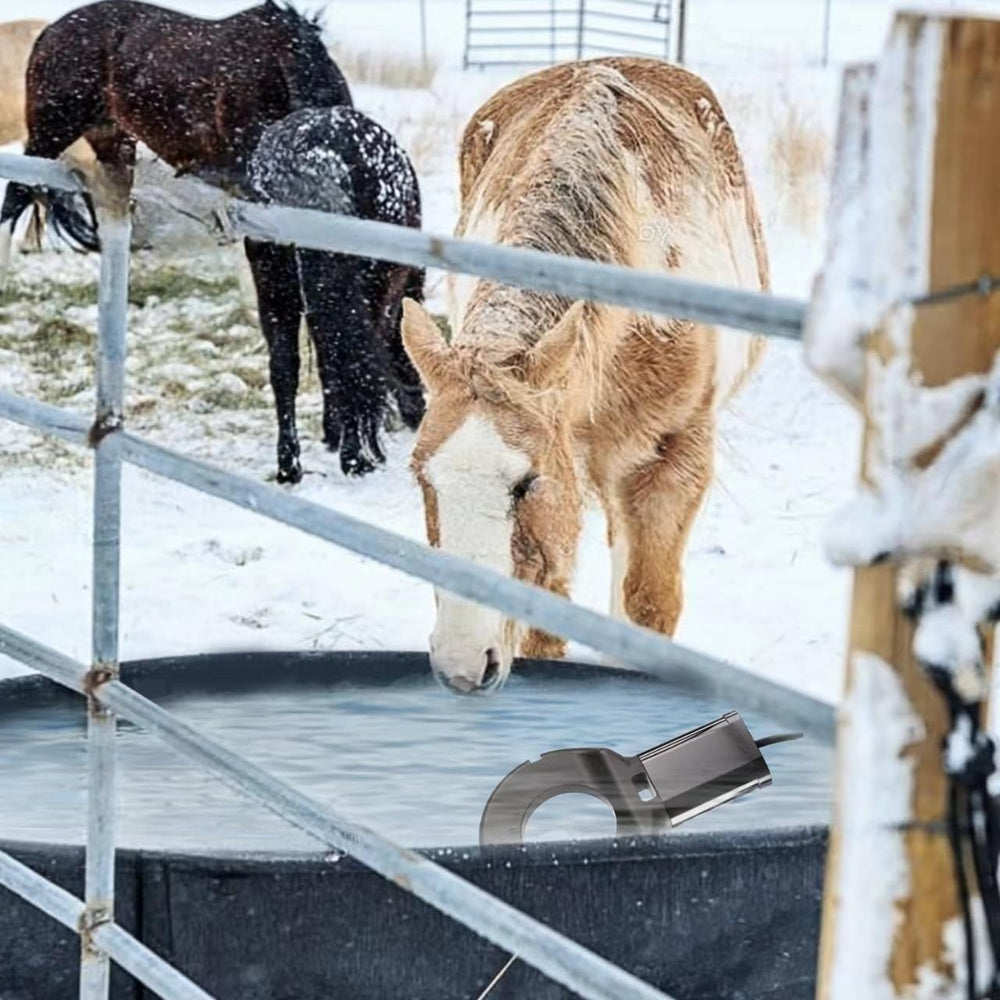 GUEOQTC in a winter garden bird bath illustrating reliable anti-ice performance