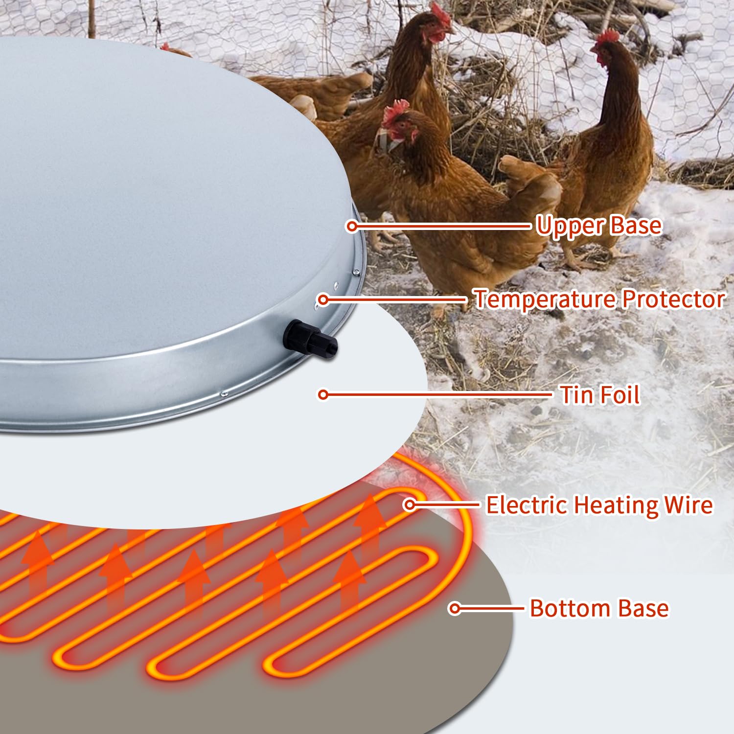GUEOQTC lifestyle winter coop scene with birds drinking demonstrating reliable winter water access benefit