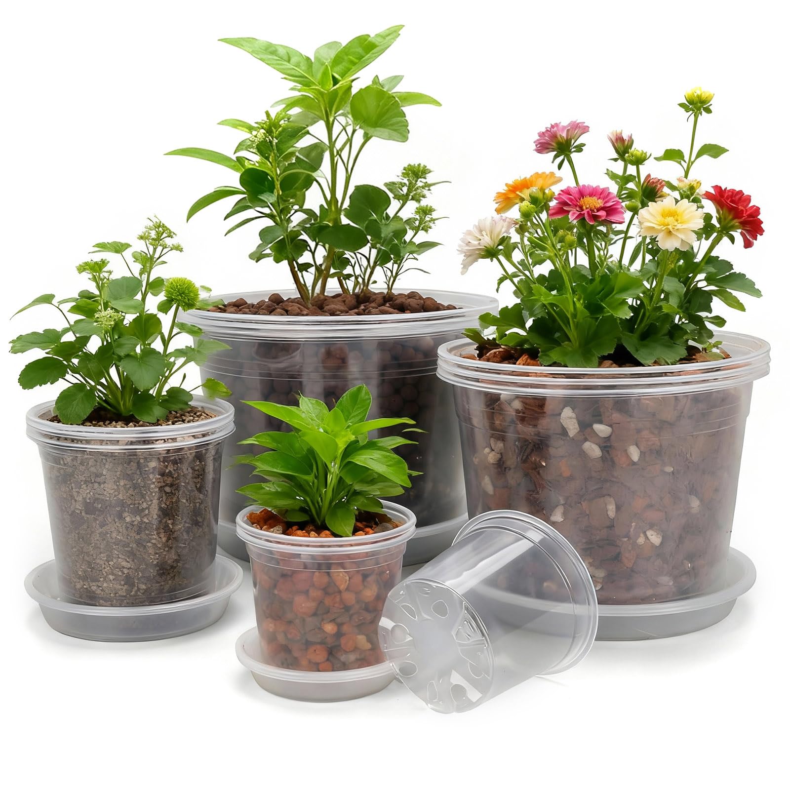 GUGEMEI front view of all four clear pot sizes showing organization benefit