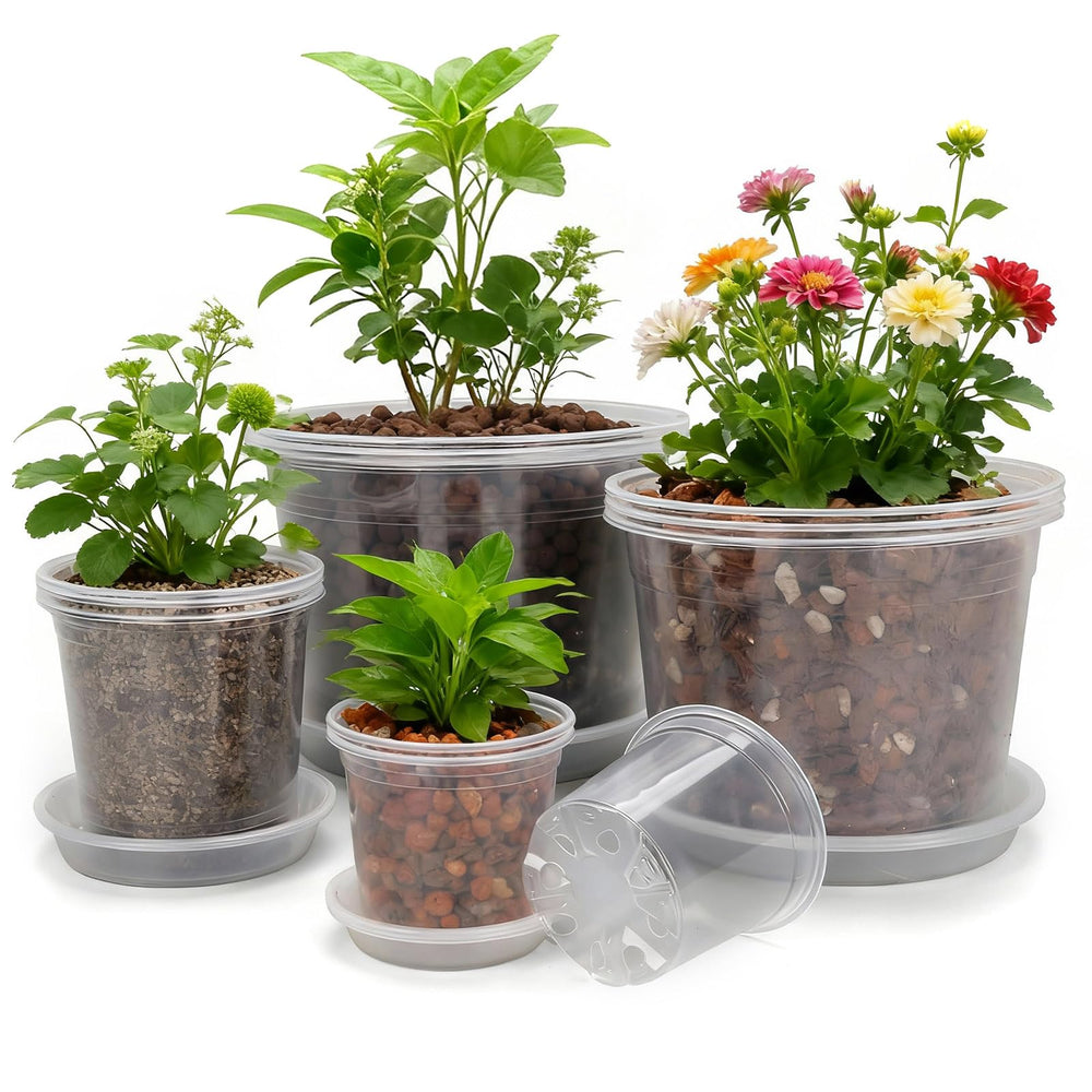 GUGEMEI front view of all four clear pot sizes showing organization benefit