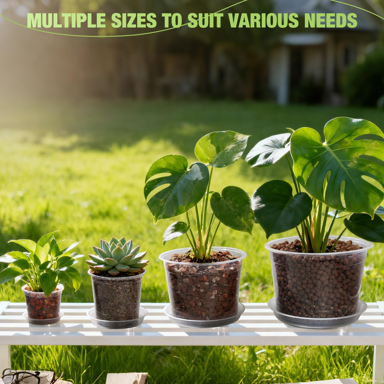 GUGEMEI clear pot showing visible roots for easy monitoring benefit