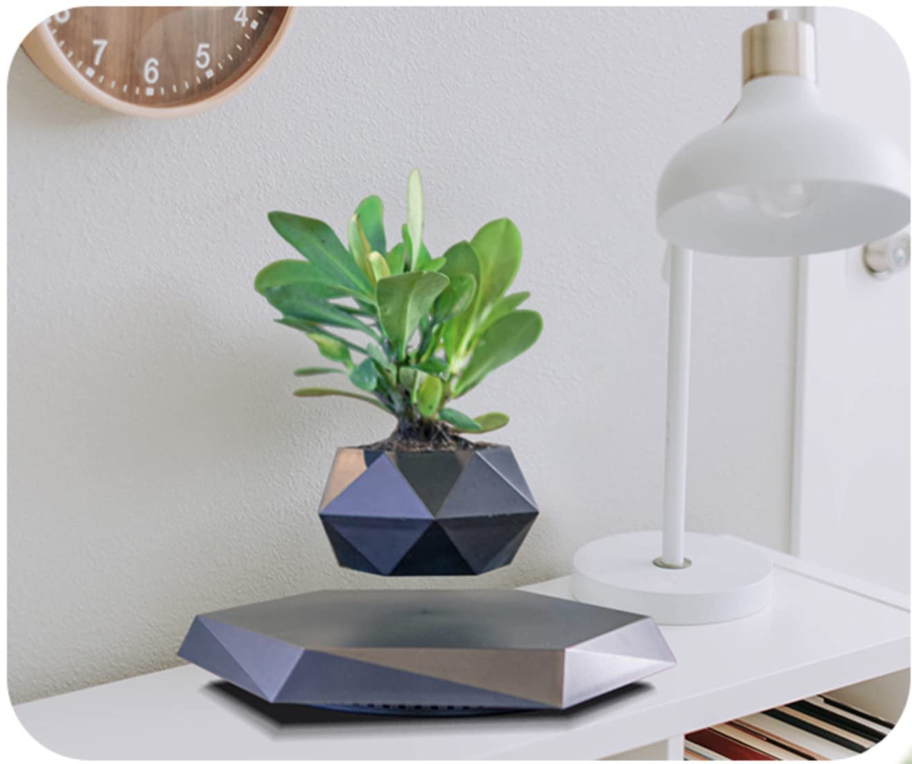 GUIYING pot in use on desk with plant rotated for 360 degree viewing benefit