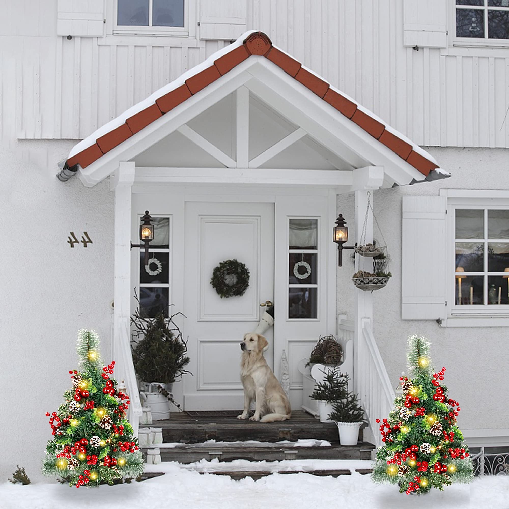 GUOOU paired trees used as urn fillers creating balanced holiday entry display
