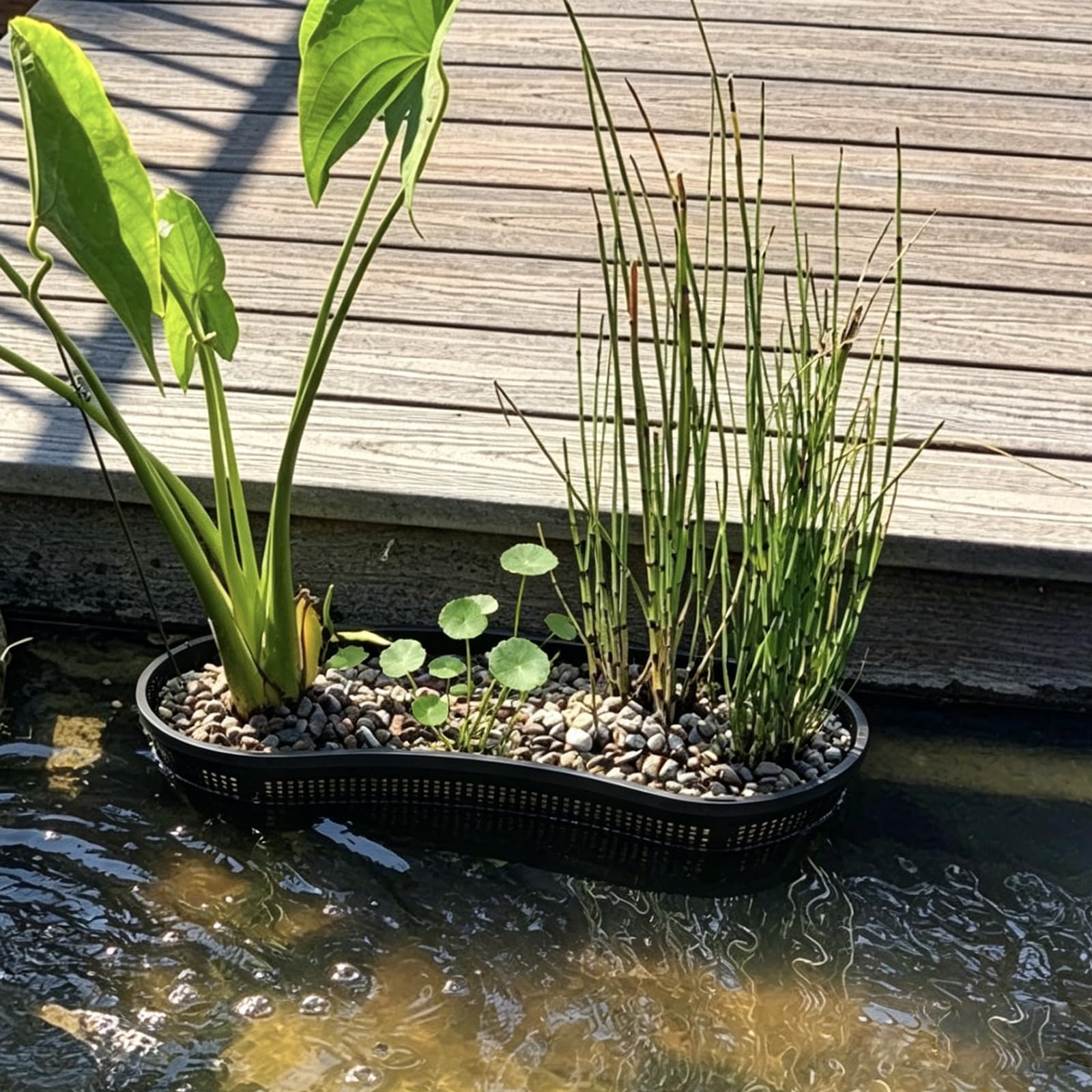 Gyfofix baskets in backyard pond scene showing aesthetic integration benefit