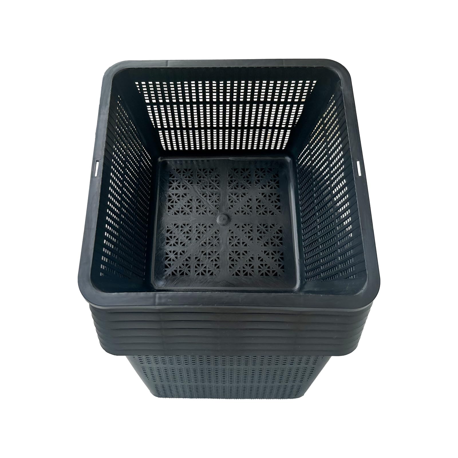 Gyfofix basket in a water garden lifestyle scene showing tidy planting