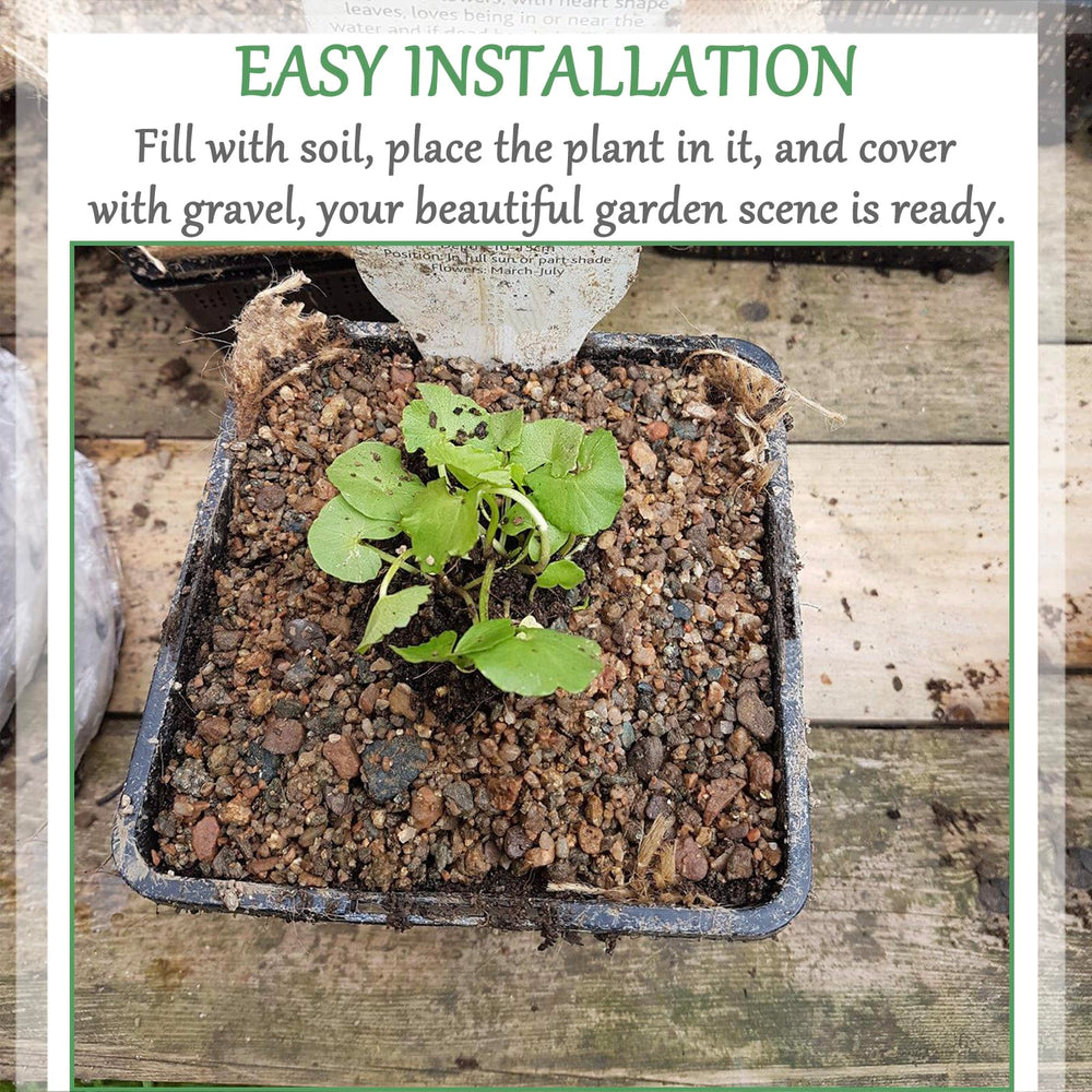Gyfofix basket protecting roots from fish damage and soil loss