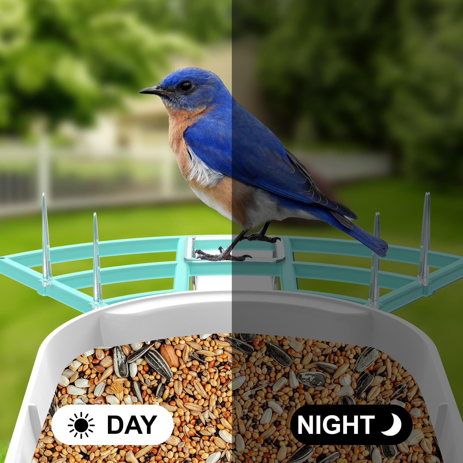 Gyozol night-vision lamp glowing to capture nocturnal visits and clear footage