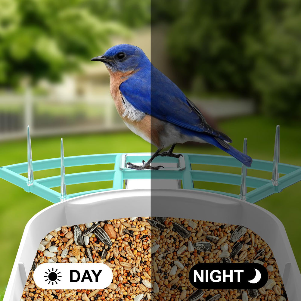 Gyozol night-vision lamp glowing to capture nocturnal visits and clear footage