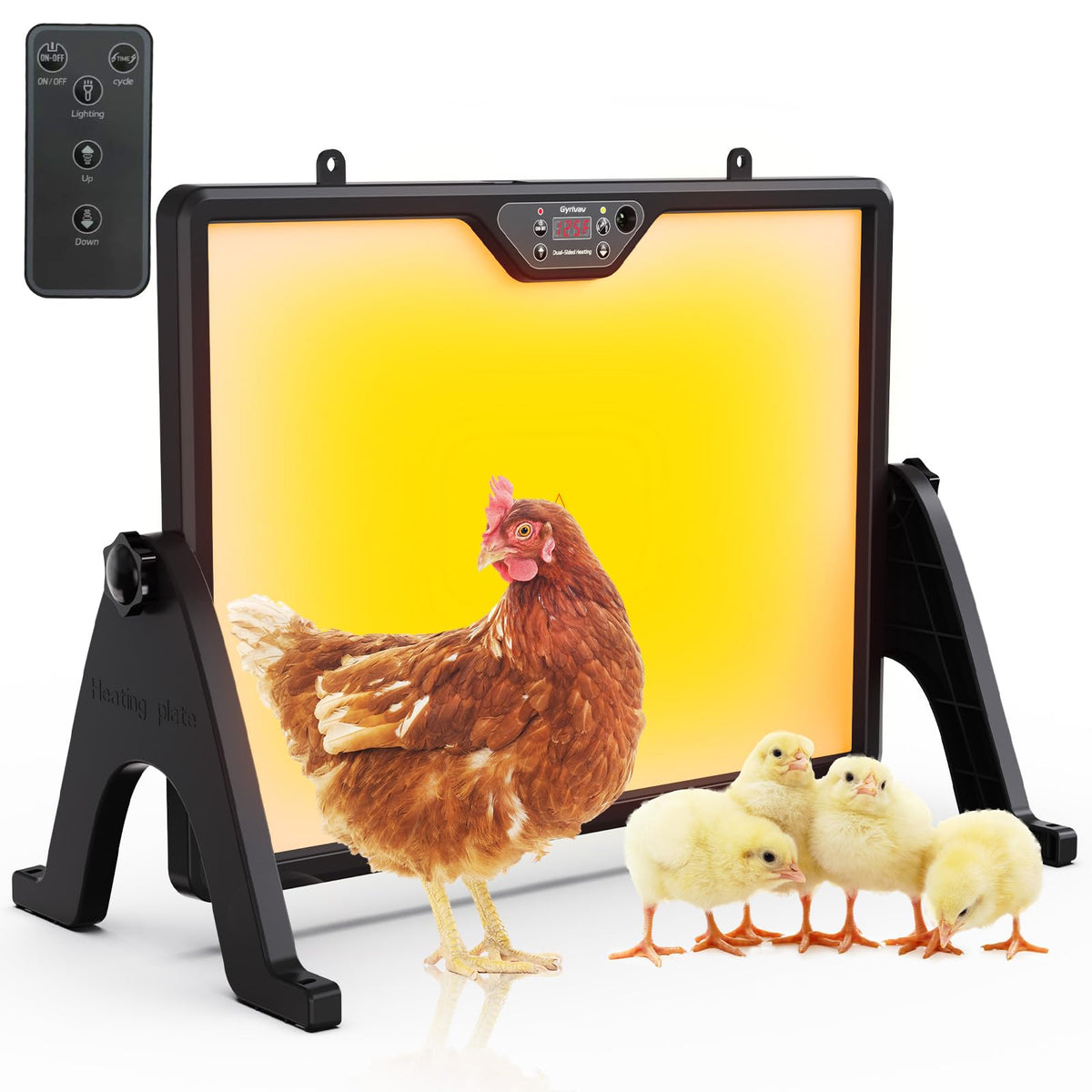 Gyrivav brooder plate front view showing full heating surface and compact design benefit