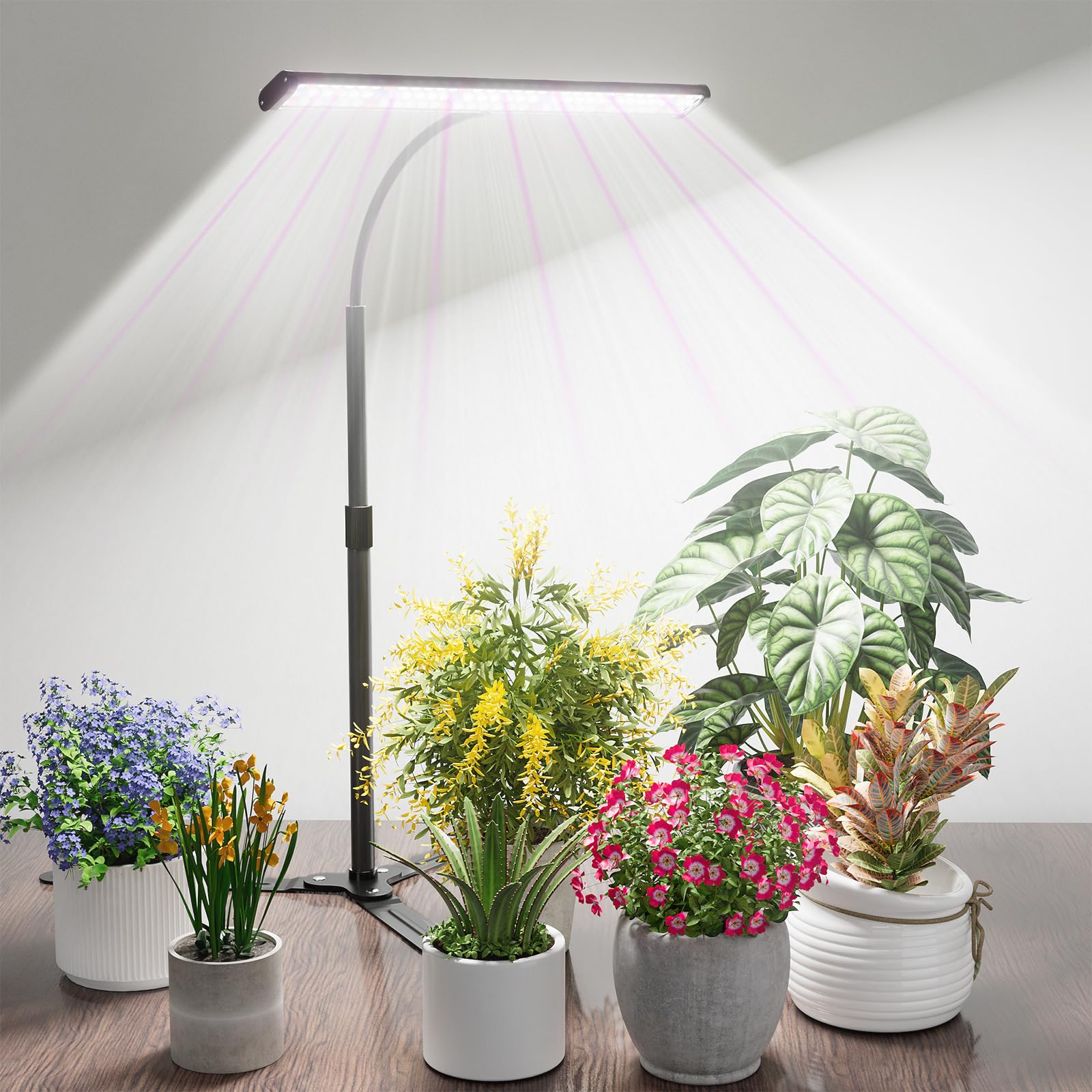 GYTF front view standing grow light showing stable base and lamp head for convenience