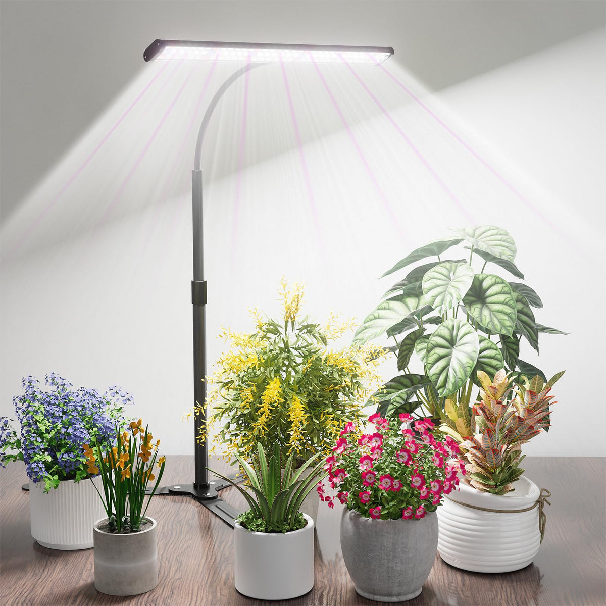 GYTF front view standing grow light showing stable base and lamp head for convenience