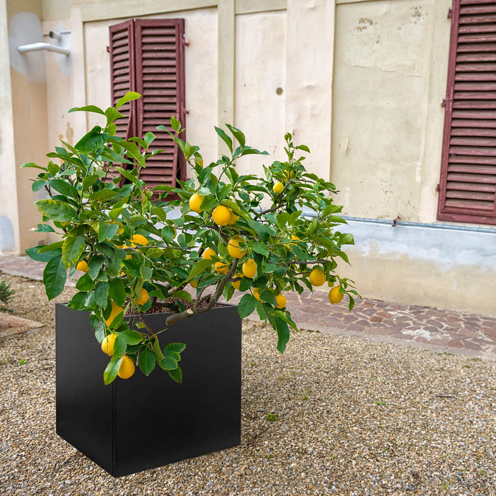 GZGNEEVL planter beside person demonstrating scale and planting capacity