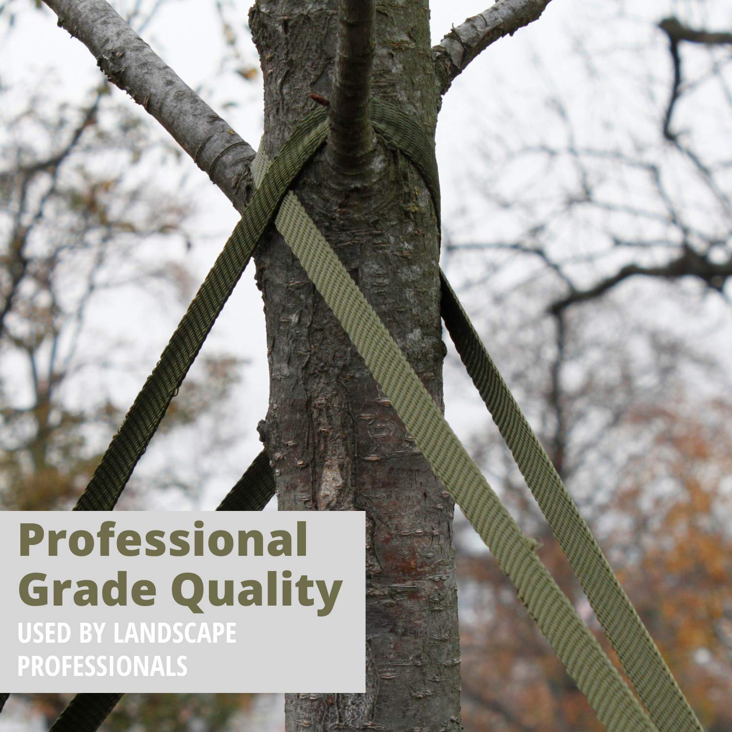 Habitech strap wrapped on tree trunk protecting bark while supporting limb