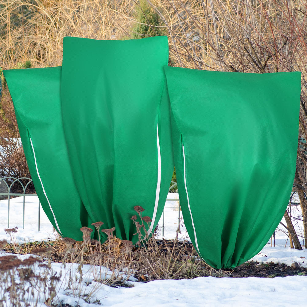 Hahood lifestyle garden scene showing whole-plant winter protection benefit