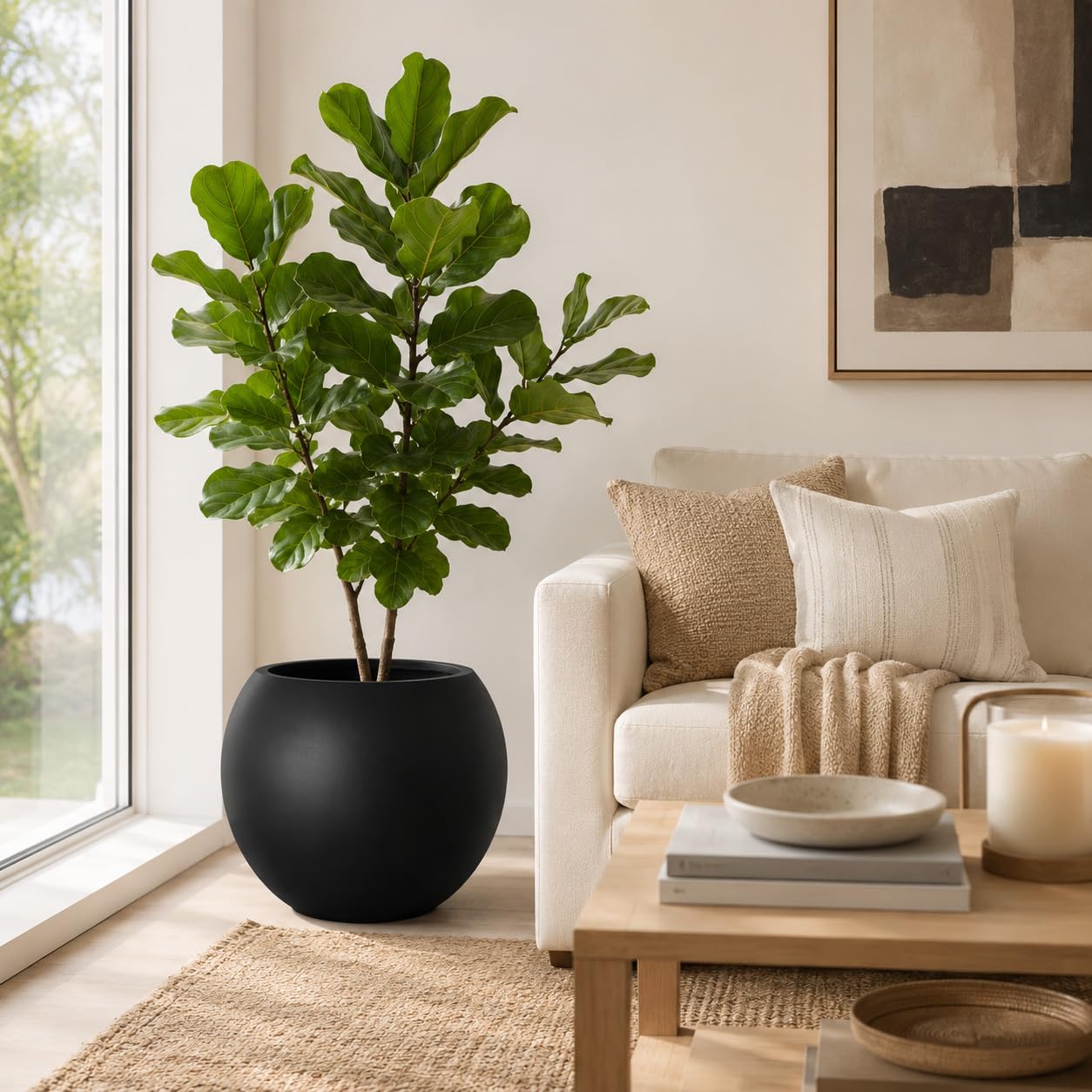Haispring planter in living room with tall ficus showing scale and modern décor benefit
