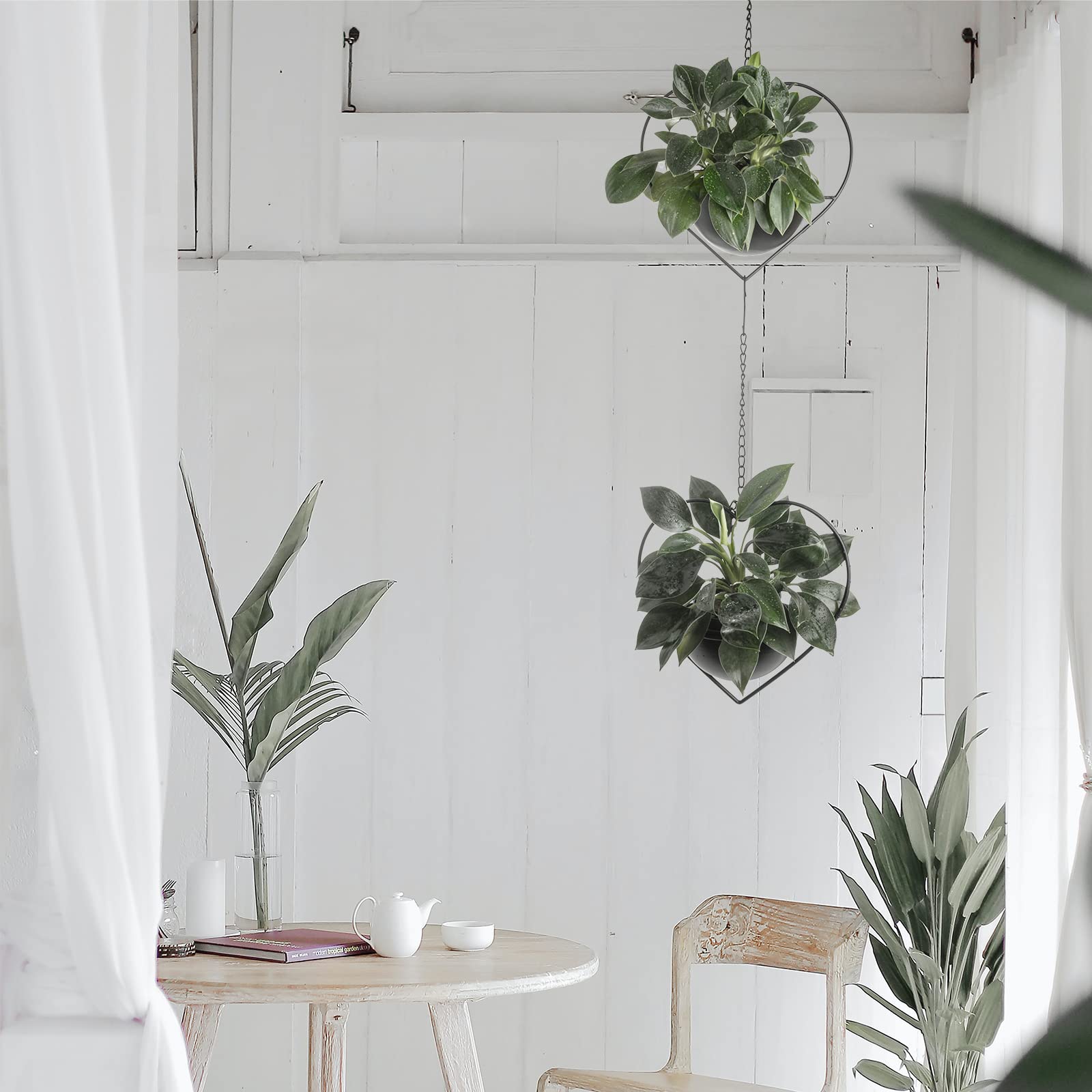 Hajia hanging planter displayed indoors with trailing plant demonstrates space-saving décor