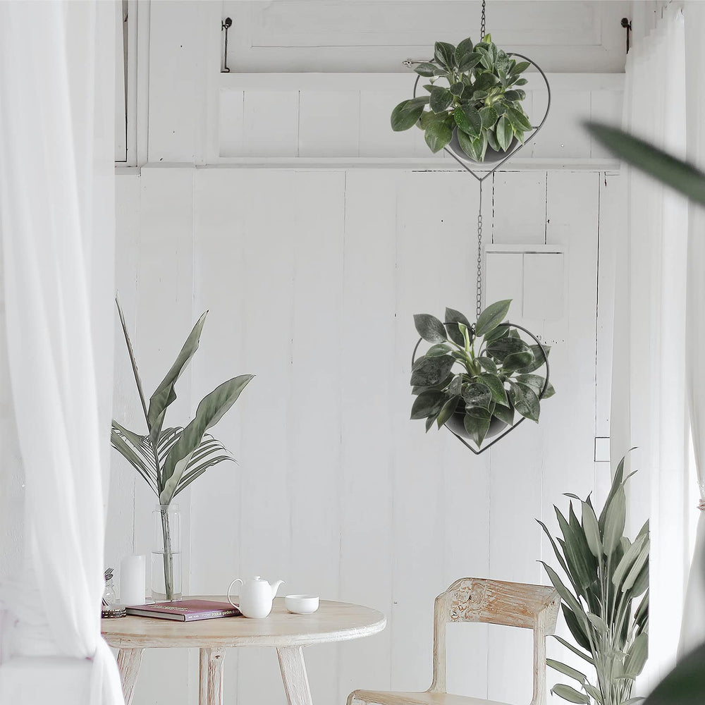 Hajia hanging planter displayed indoors with trailing plant demonstrates space-saving décor