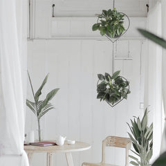 Hajia hanging planter displayed indoors with trailing plant demonstrates space-saving décor