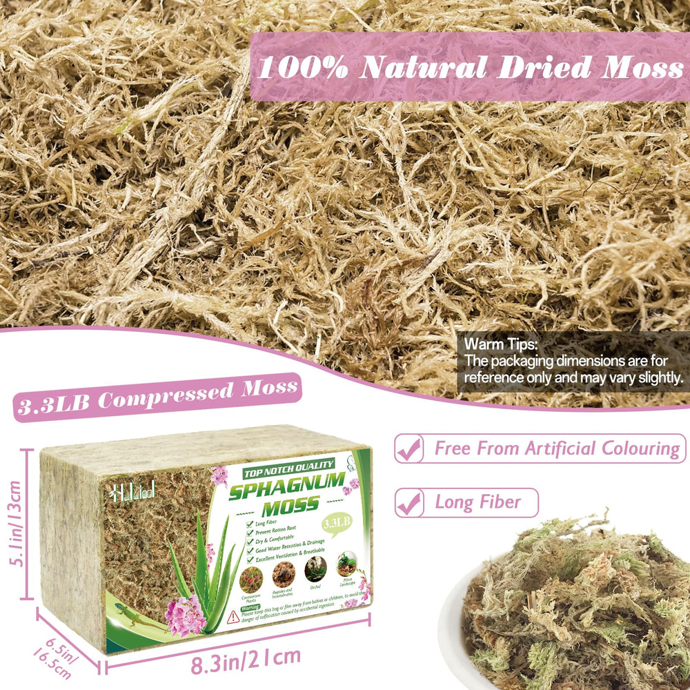 Halatool expanded moss in bowl hydrated and ready to use for potting benefit