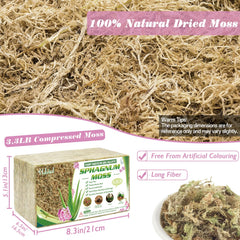 Halatool expanded moss in bowl hydrated and ready to use for potting benefit